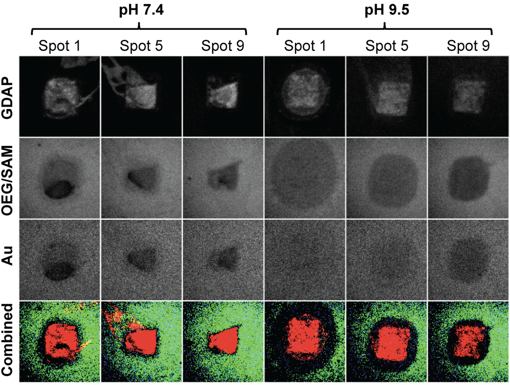 Materials 03 03948 g004 1024