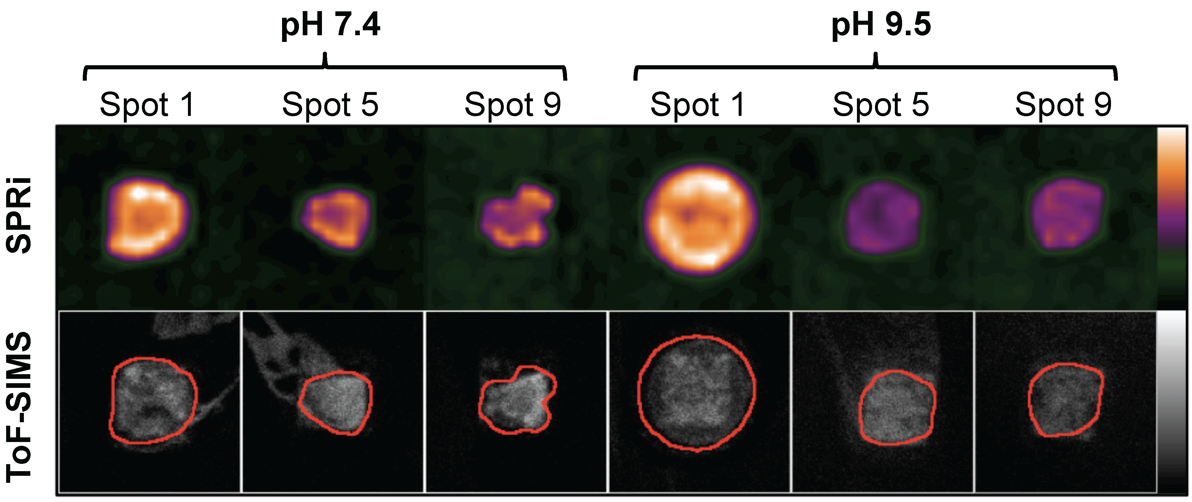 Materials 03 03948 g005