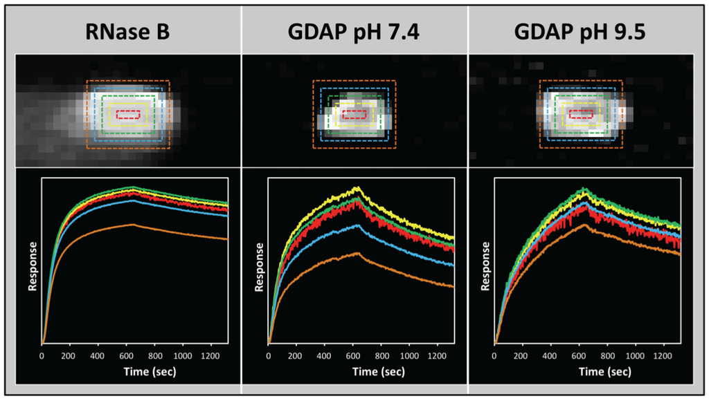 Materials 03 03948 g006 1024