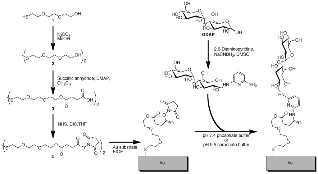 Materials 03 03948 g008 1024