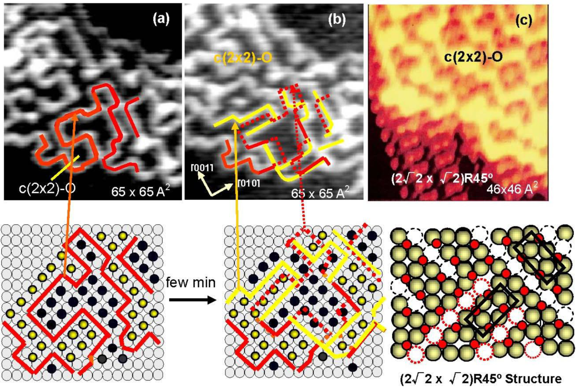 Materials 03 04518 g005