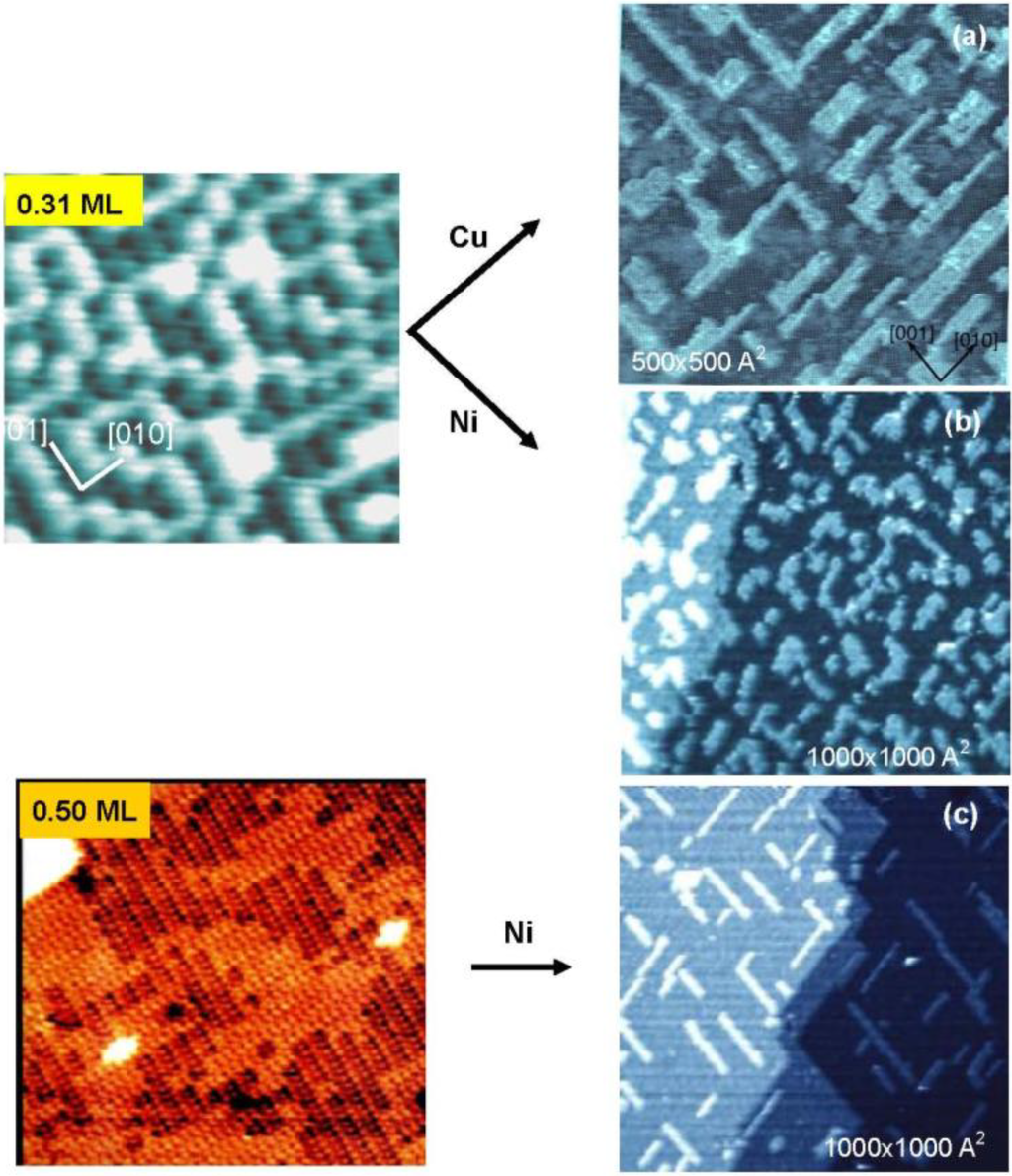 Materials 03 04518 g006 1024