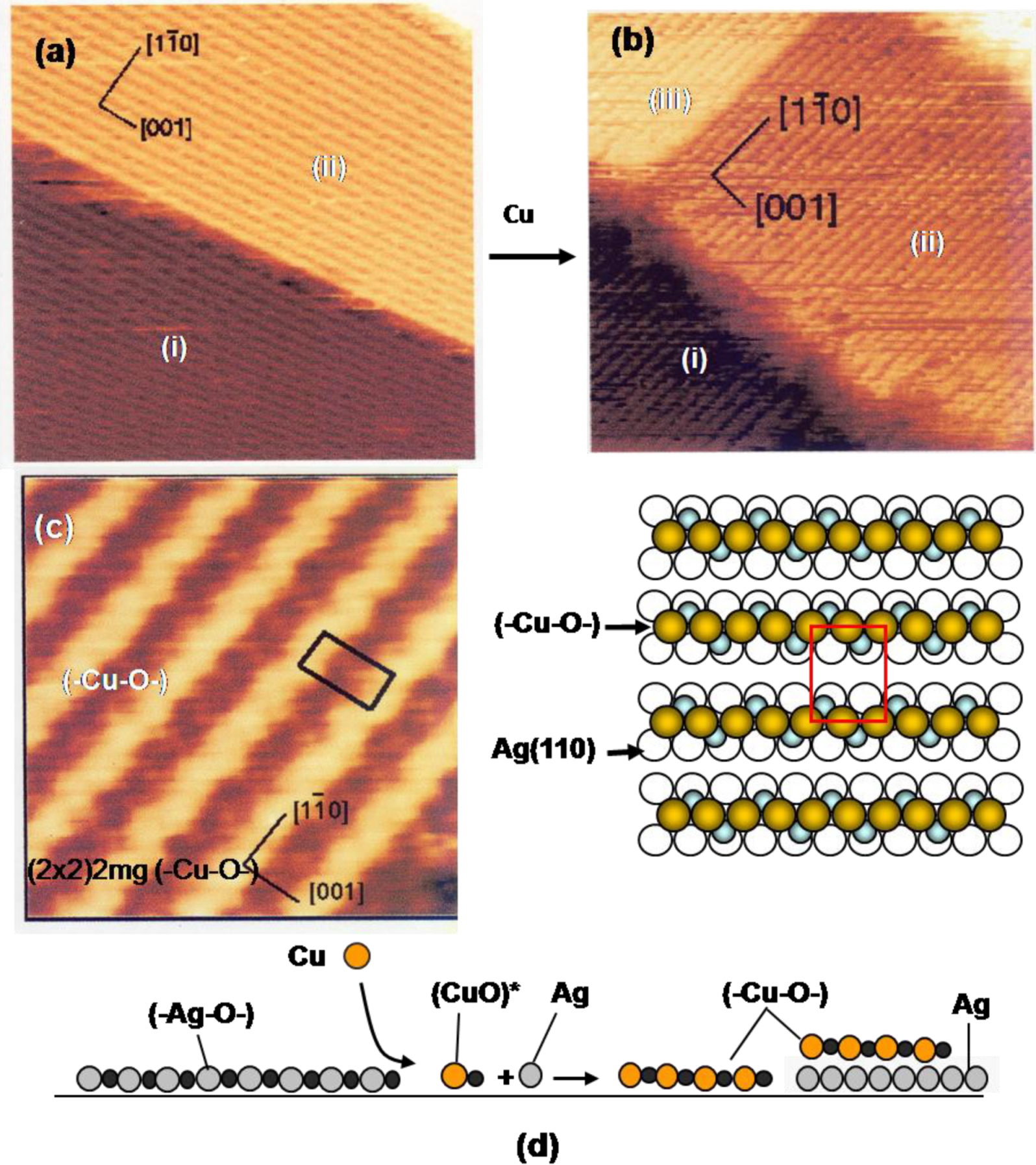 Materials 03 04518 g009