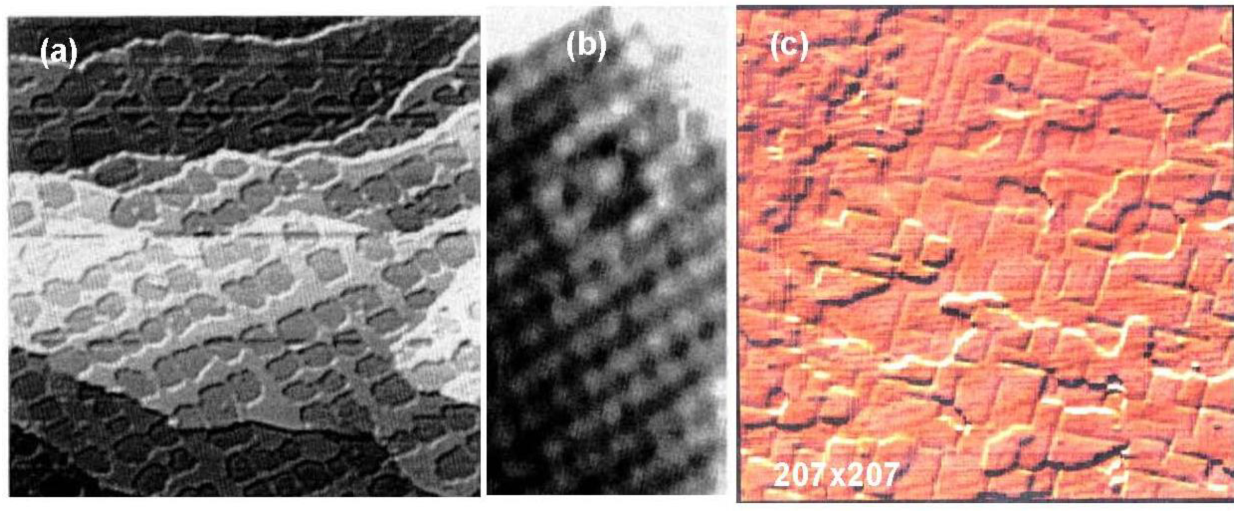 Materials 03 04518 g015