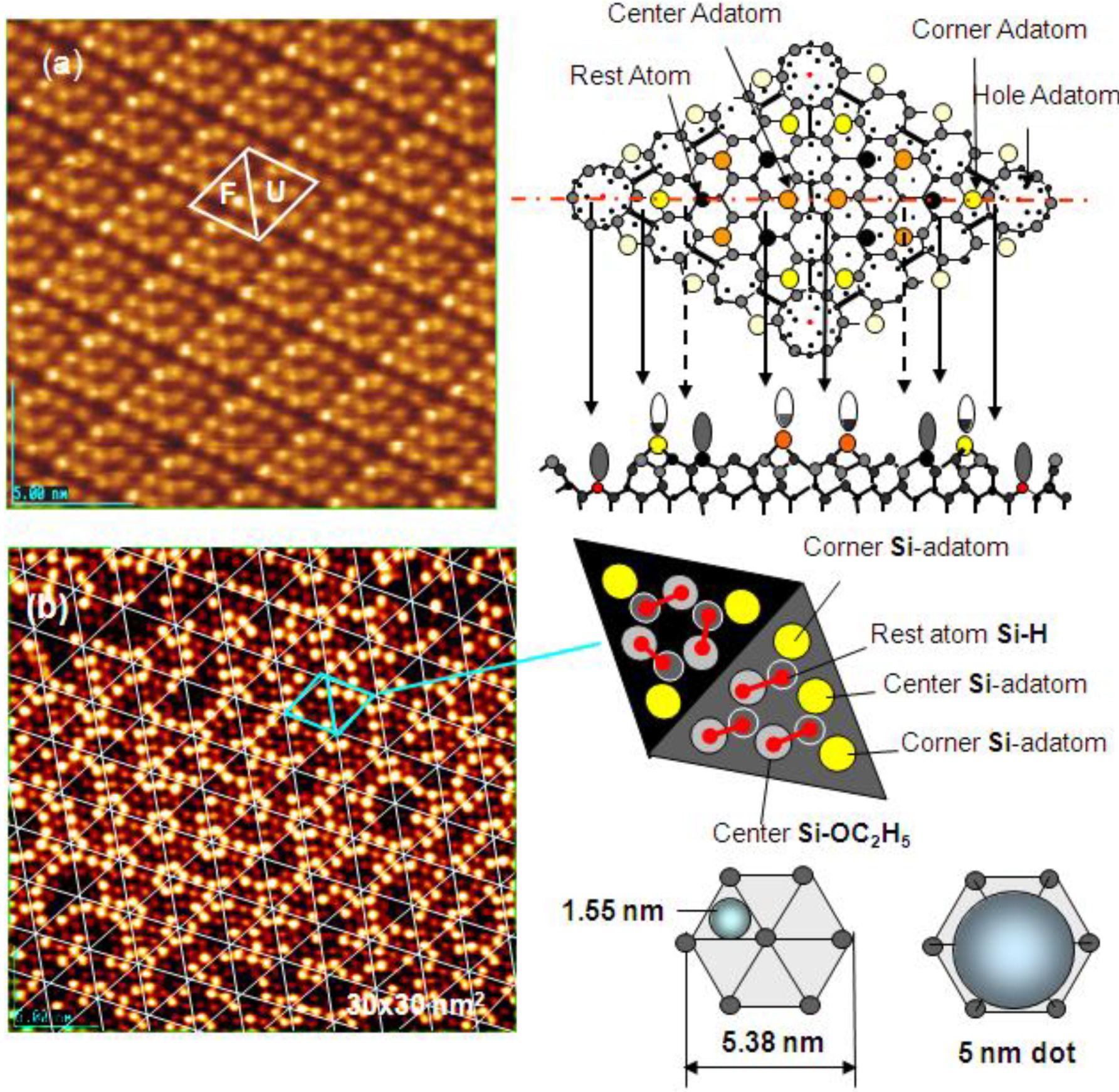 Materials 03 04518 g016