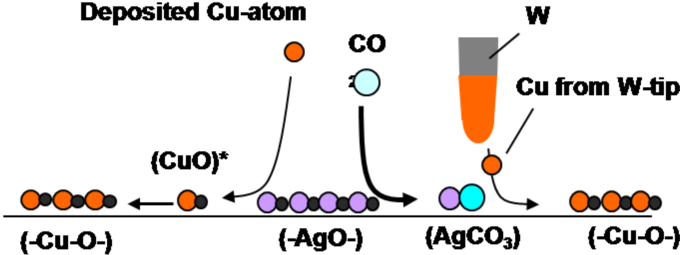 Materials 03 04518 g025