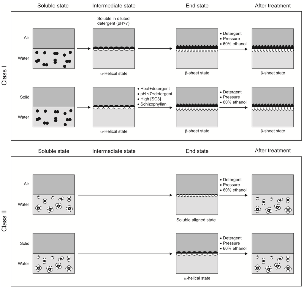 Materials 03 04607 g002 1024