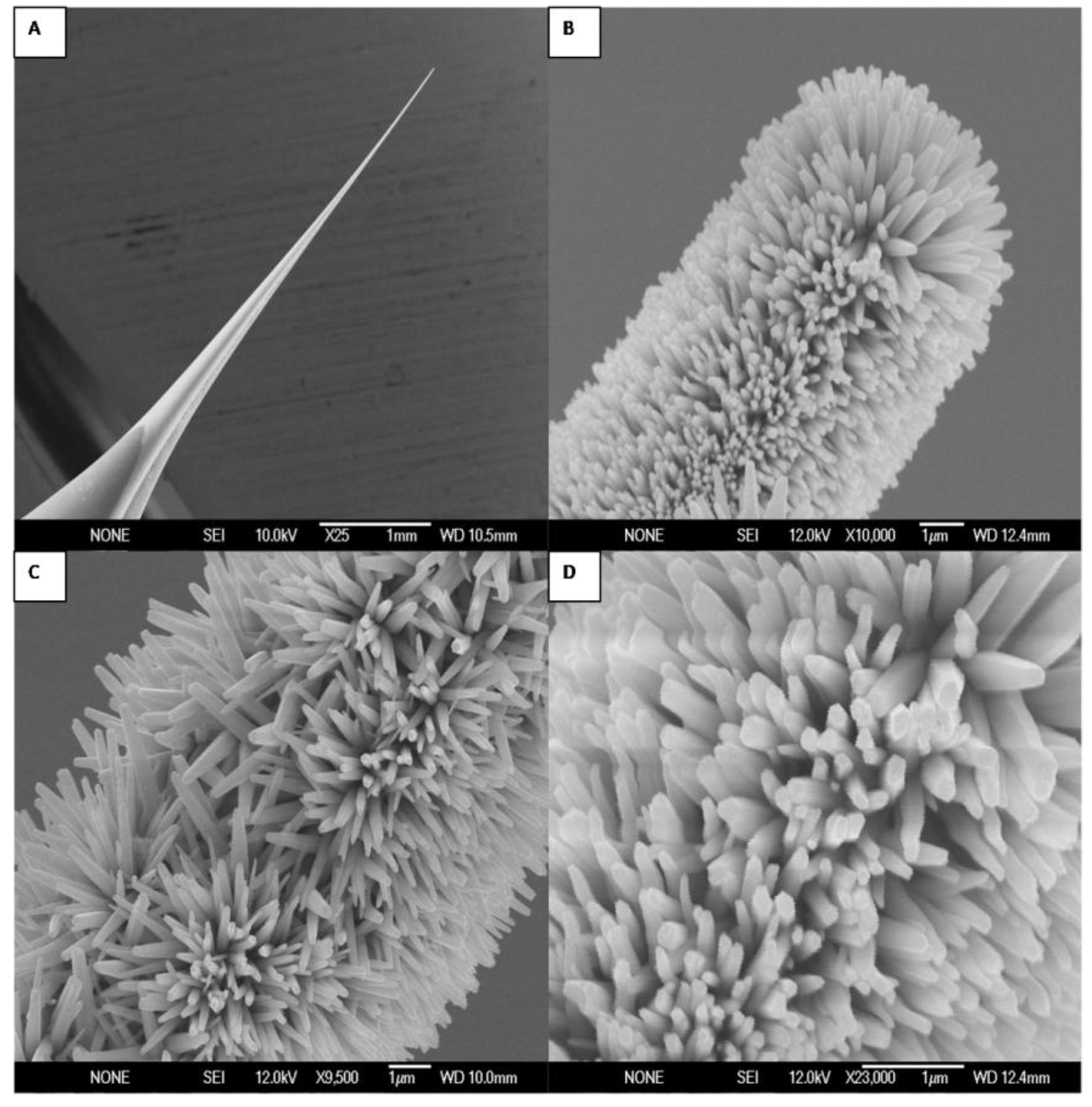 Materials 03 04657 g001