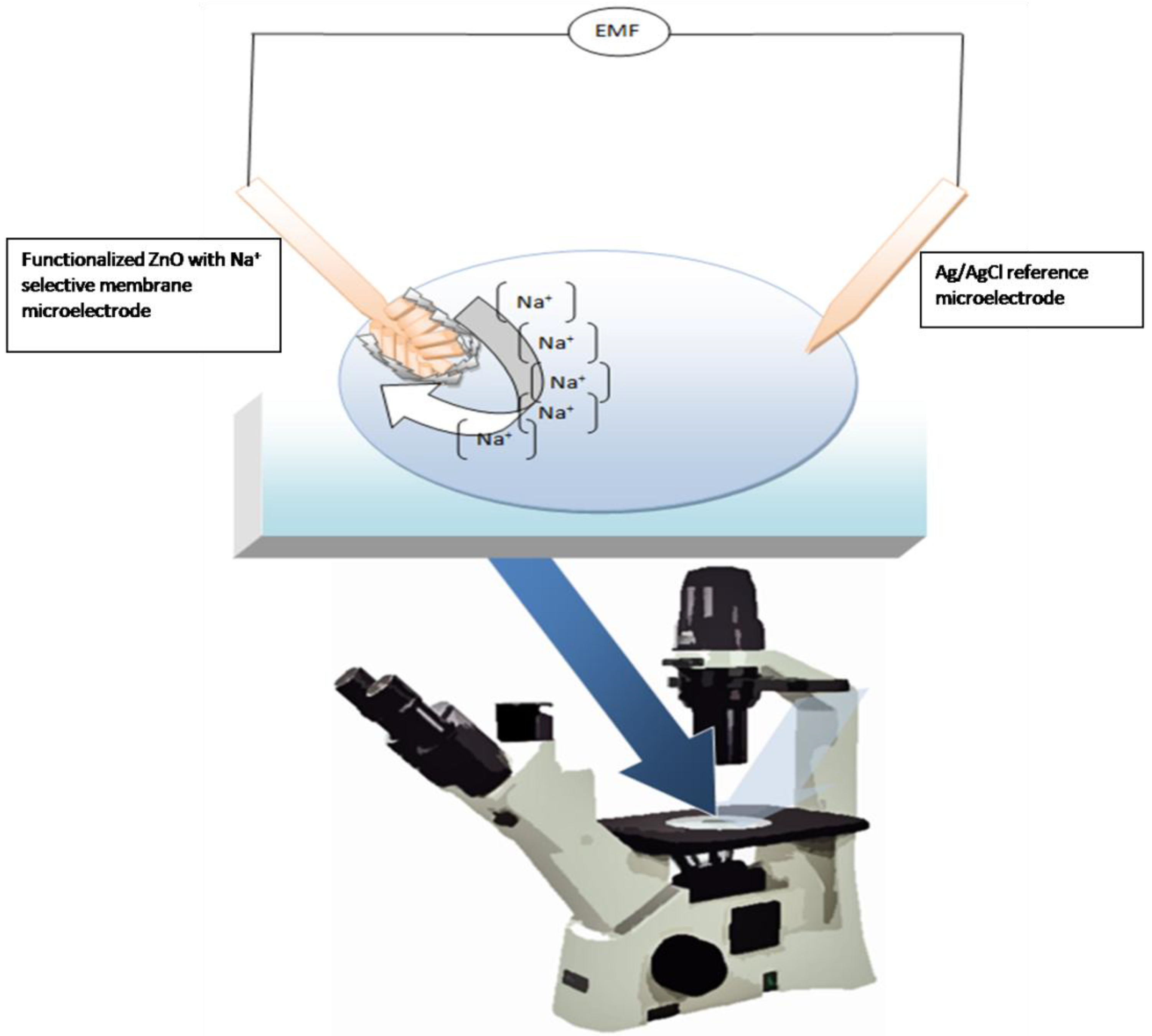 Materials 03 04657 g003