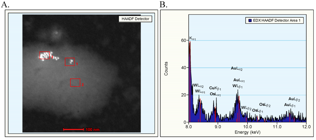 Materials 03 04681 g001a 1024