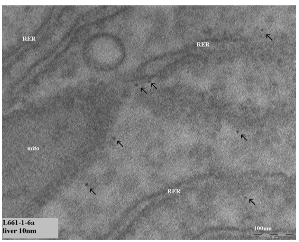 Materials 03 04681 g003 1024