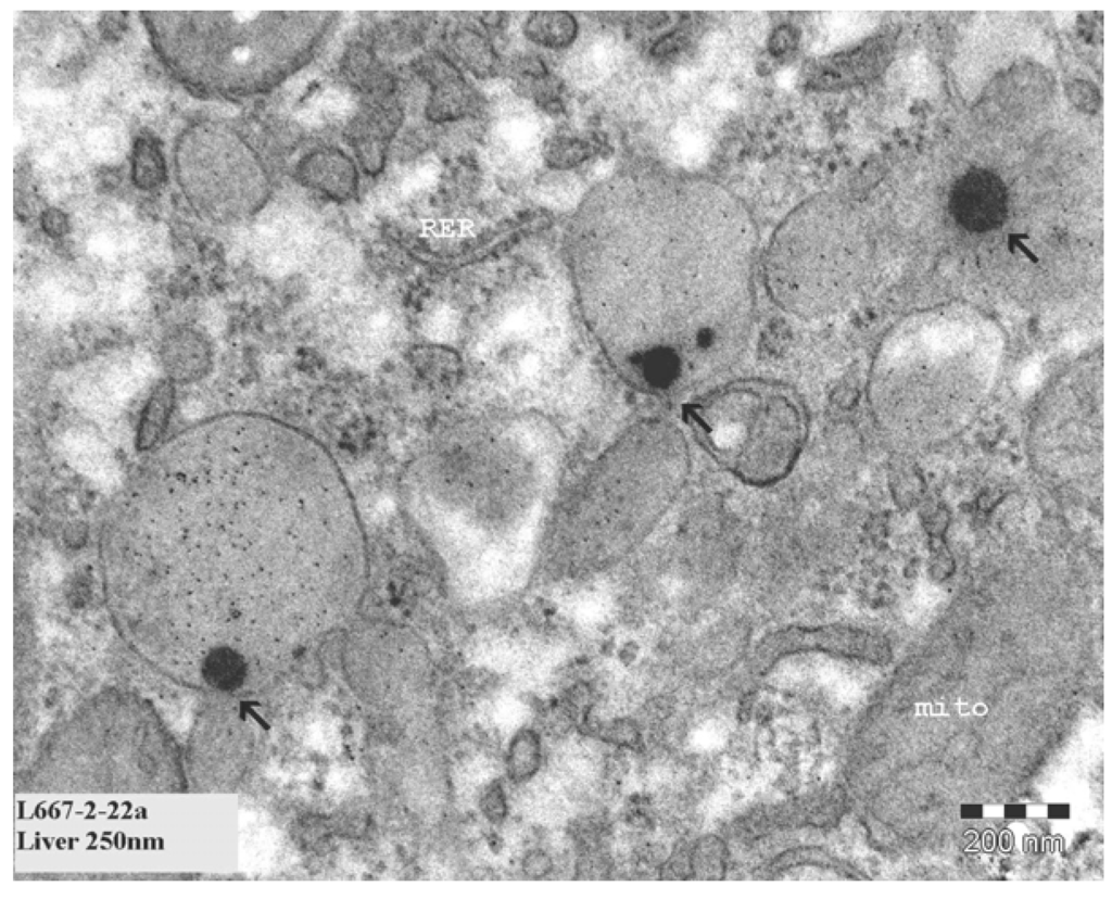 Materials 03 04681 g005 1024