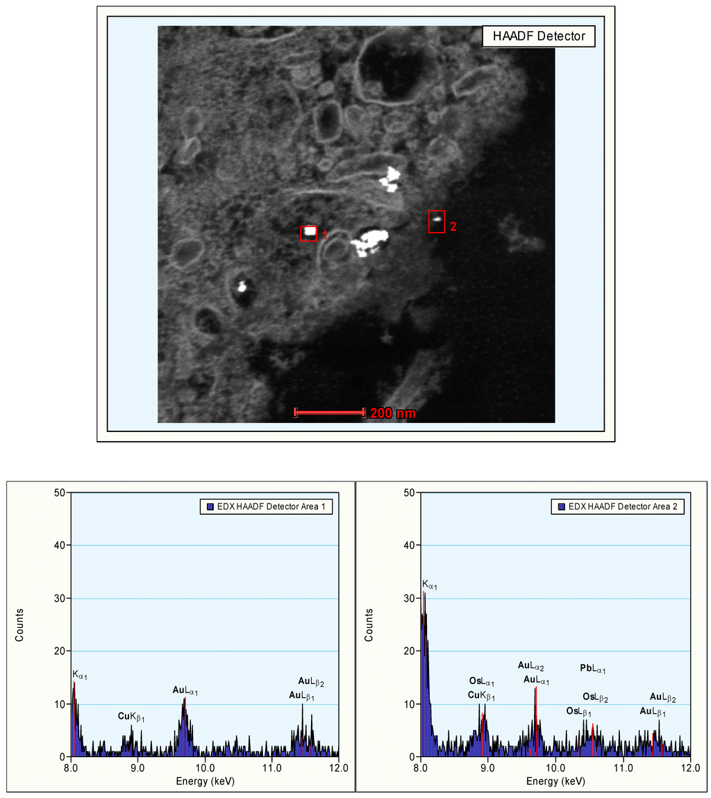 Materials 03 04681 g008 1024