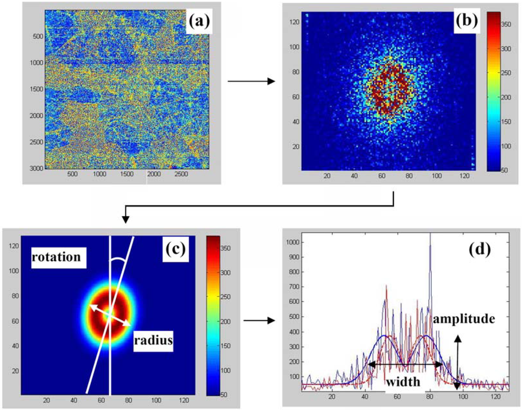 Materials 03 04860 g004 1024