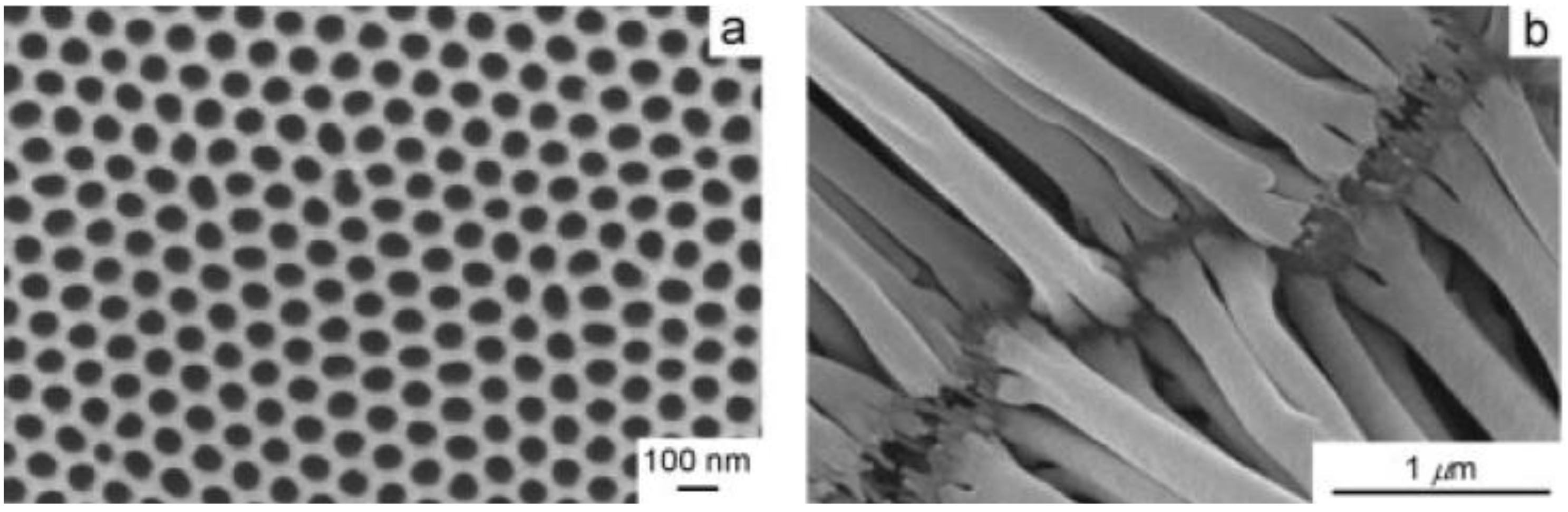 Materials 03 05029 g022