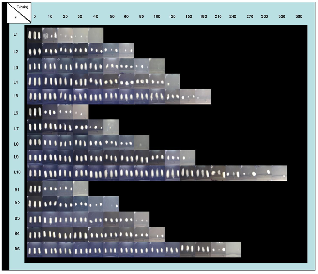 Materials 03 05195 g003 1024