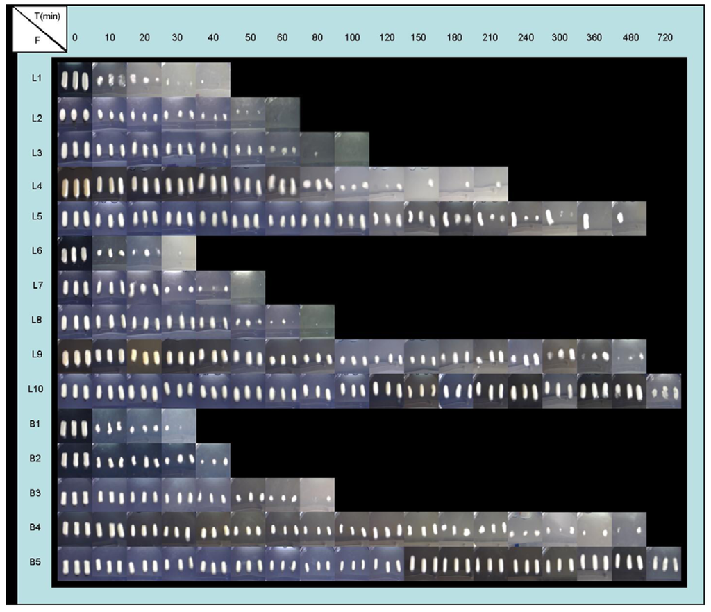 Materials 03 05195 g004 1024