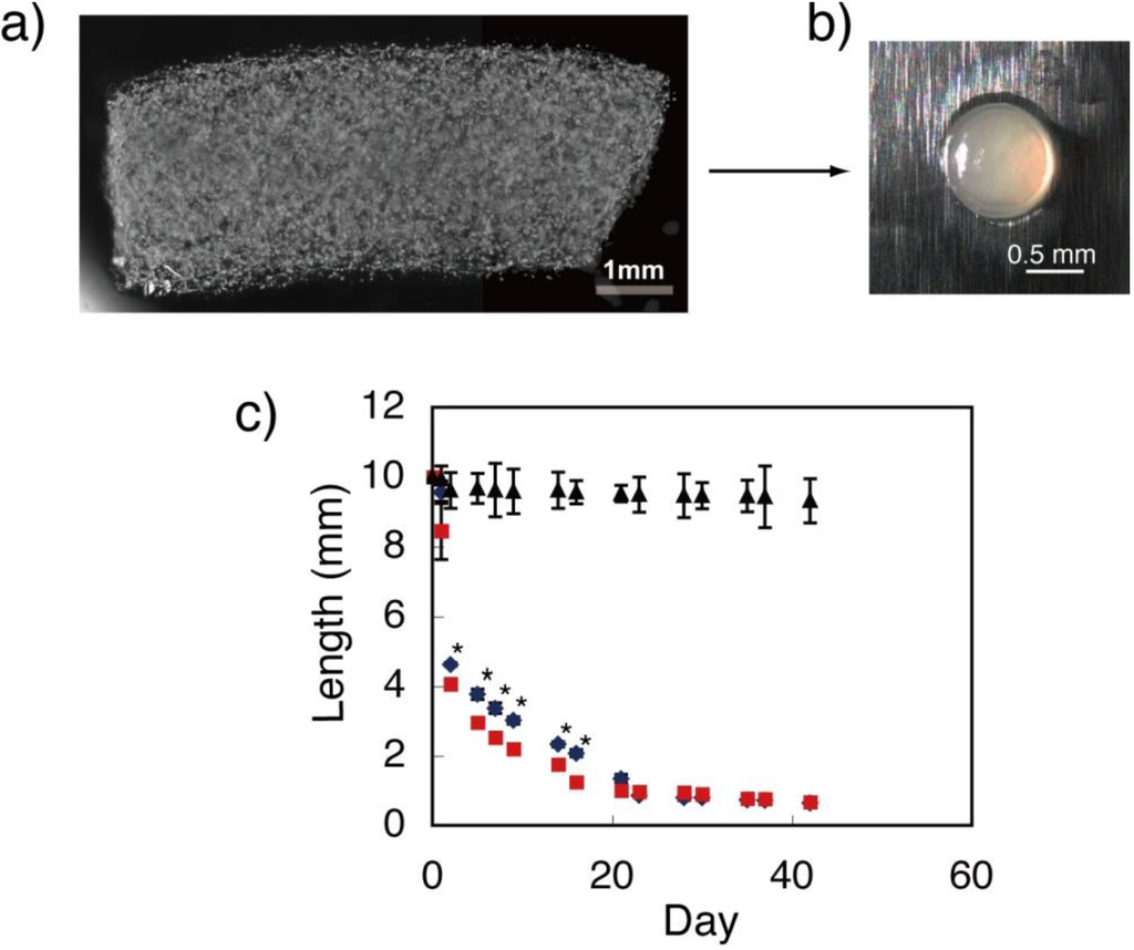 Materials 04 00327 g001 1024
