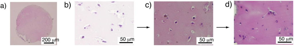 Materials 04 00327 g002 1024