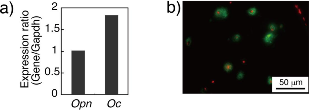 Materials 04 00327 g003 1024