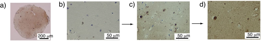 Materials 04 00327 g004 1024