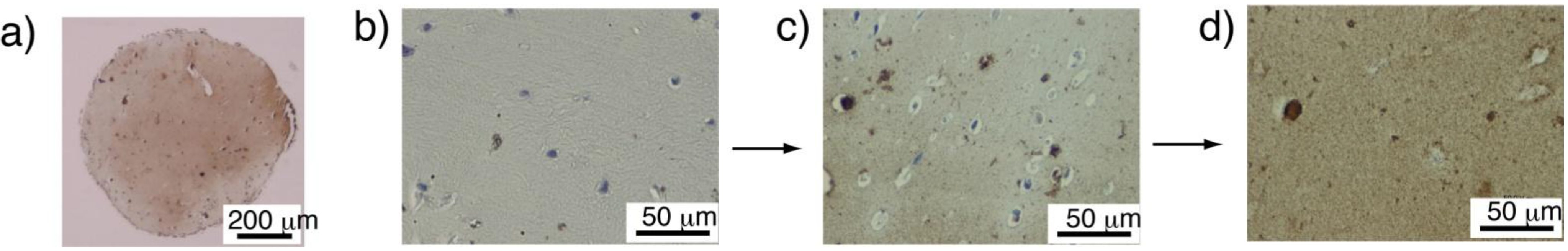 Materials 04 00327 g004