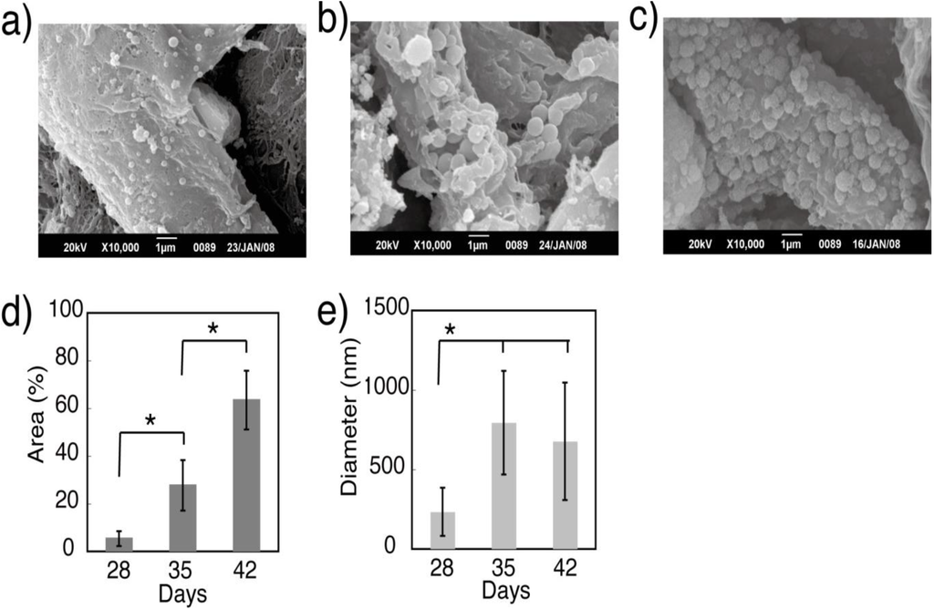 Materials 04 00327 g005 1024