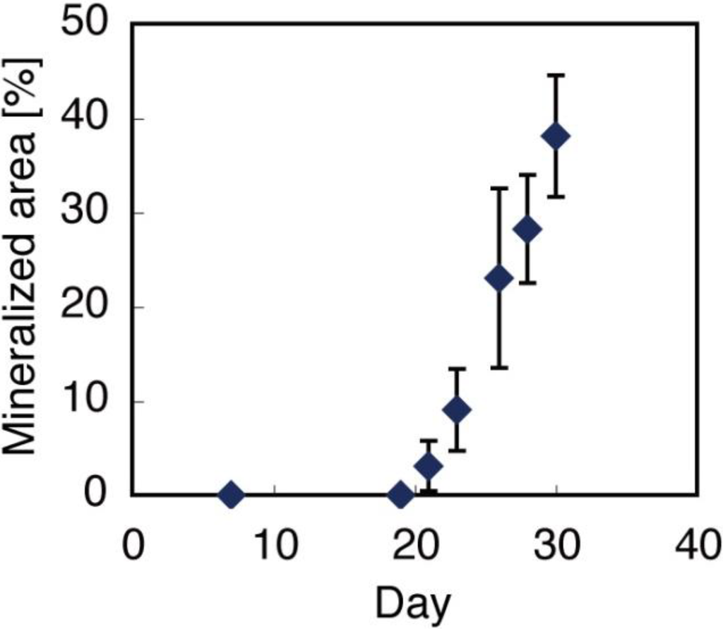 Materials 04 00327 g007 1024