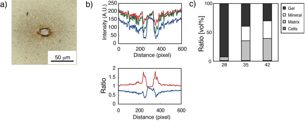 Materials 04 00327 g008 1024
