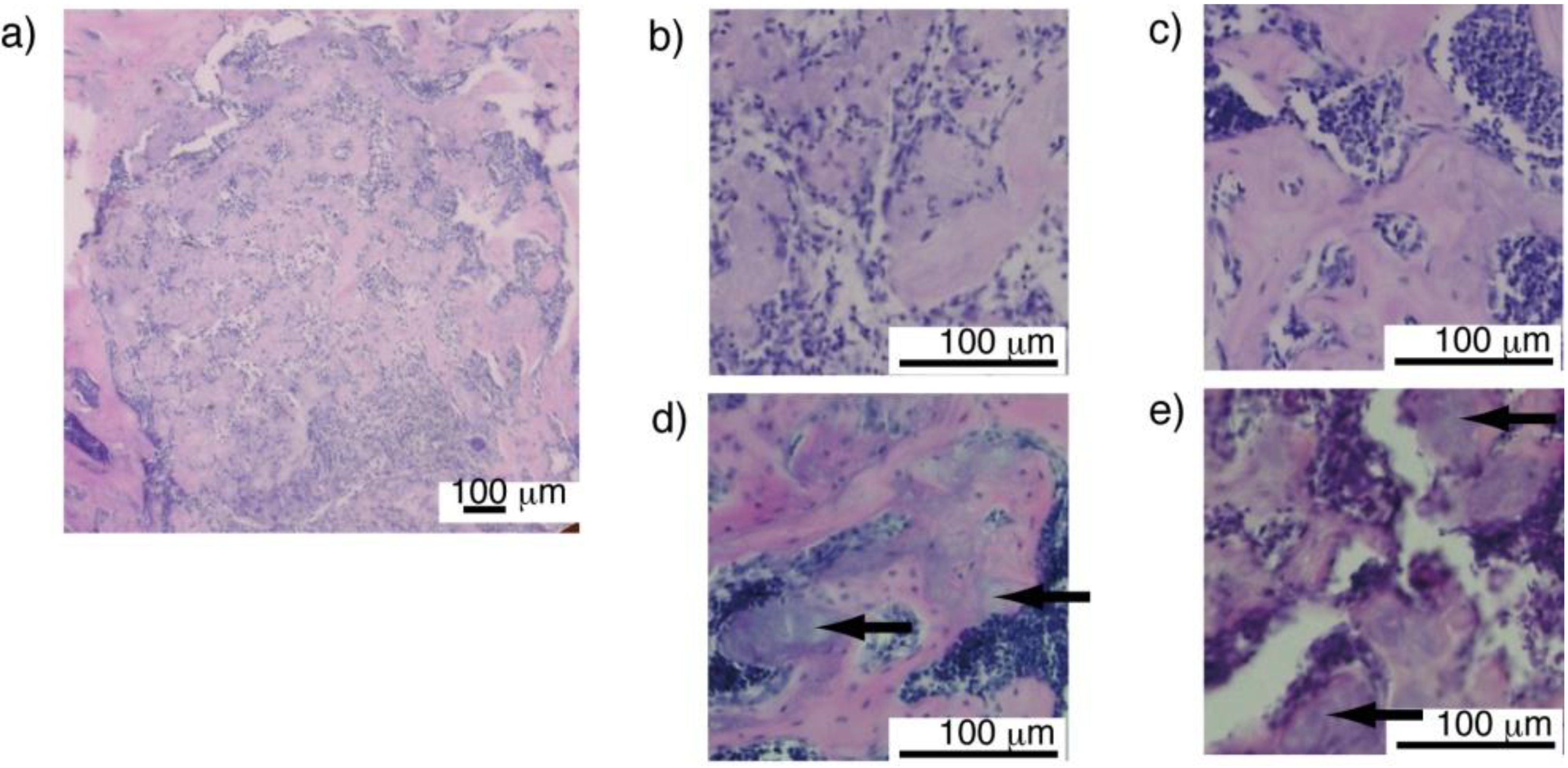 Materials 04 00327 g009