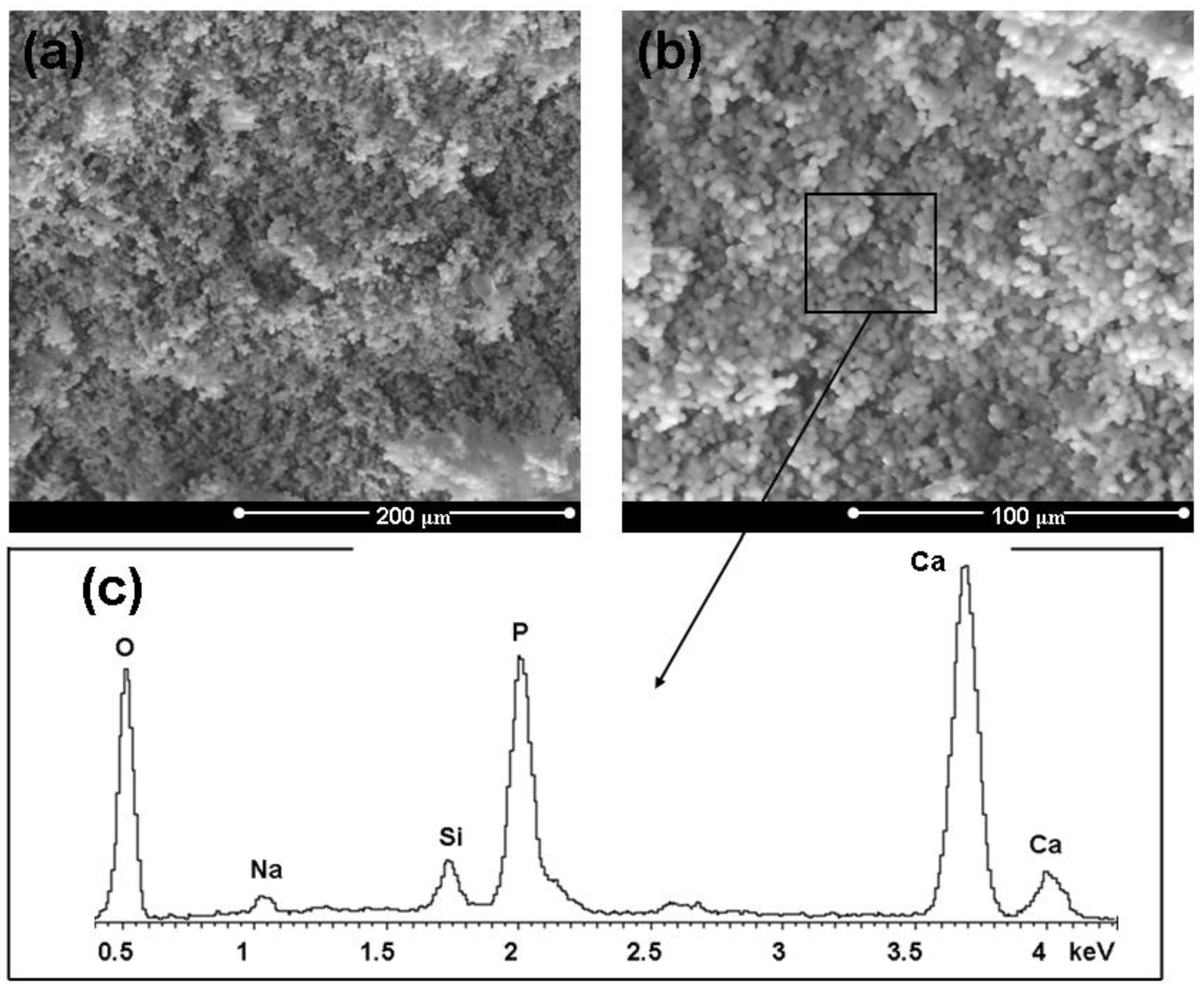Materials 04 00339 g005