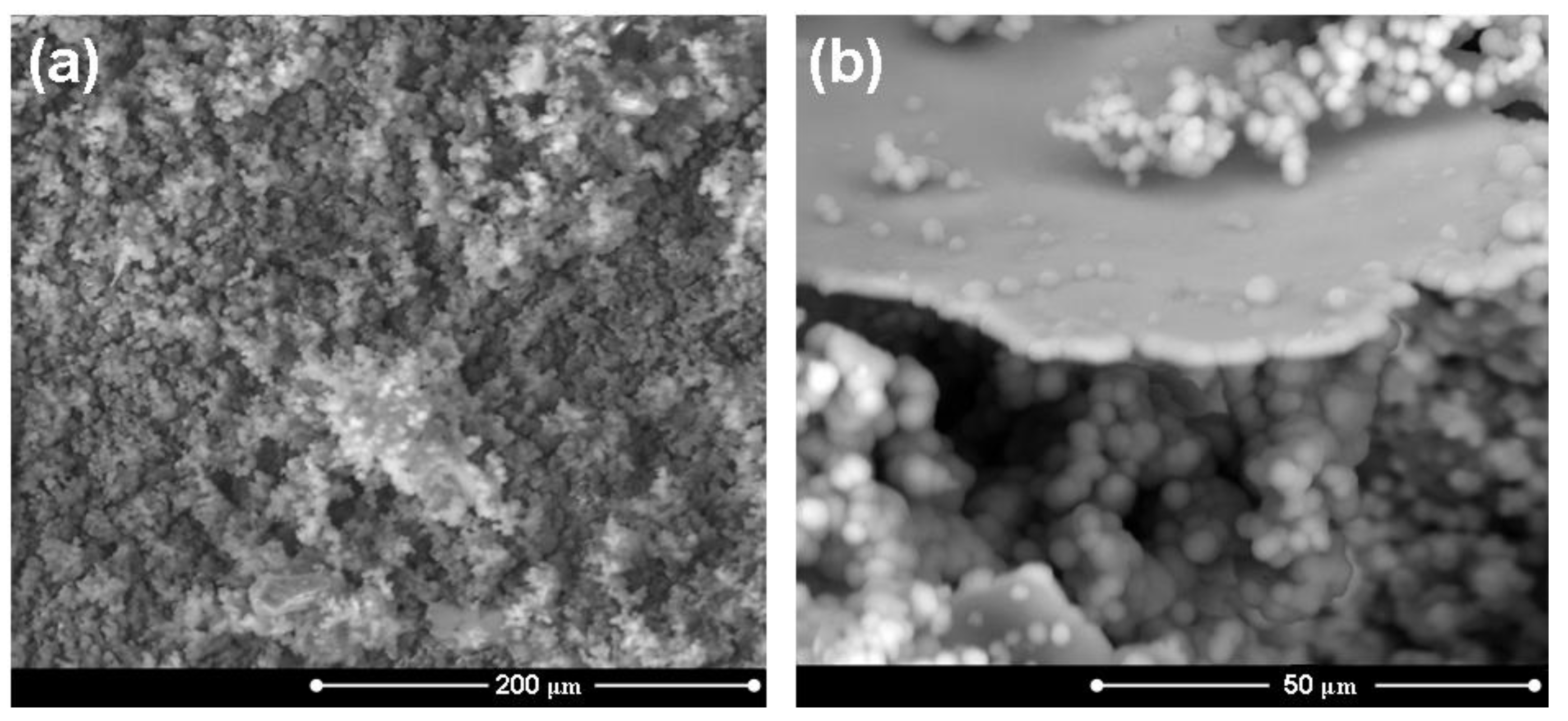 Materials 04 00339 g006