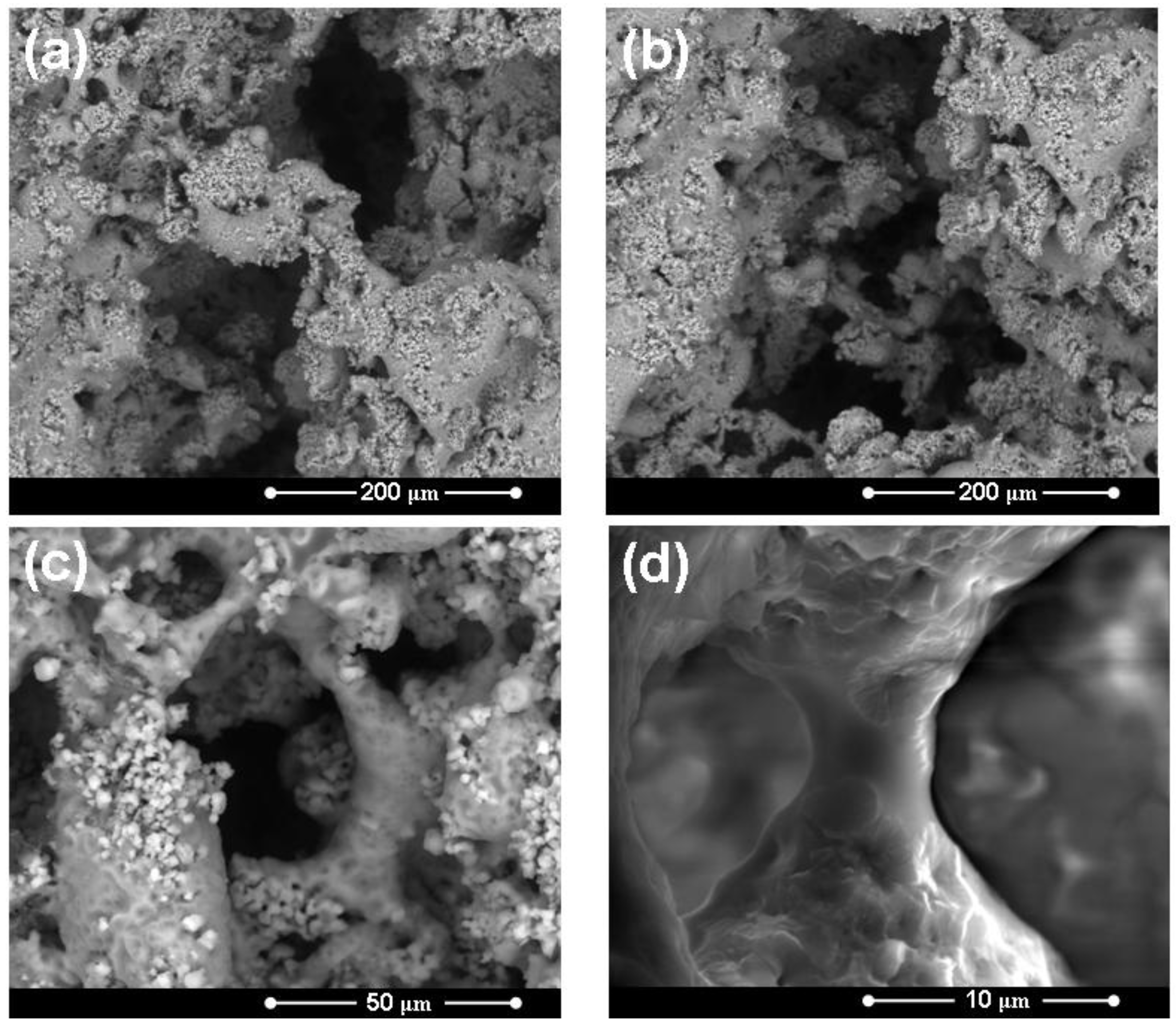 Materials 04 00339 g009