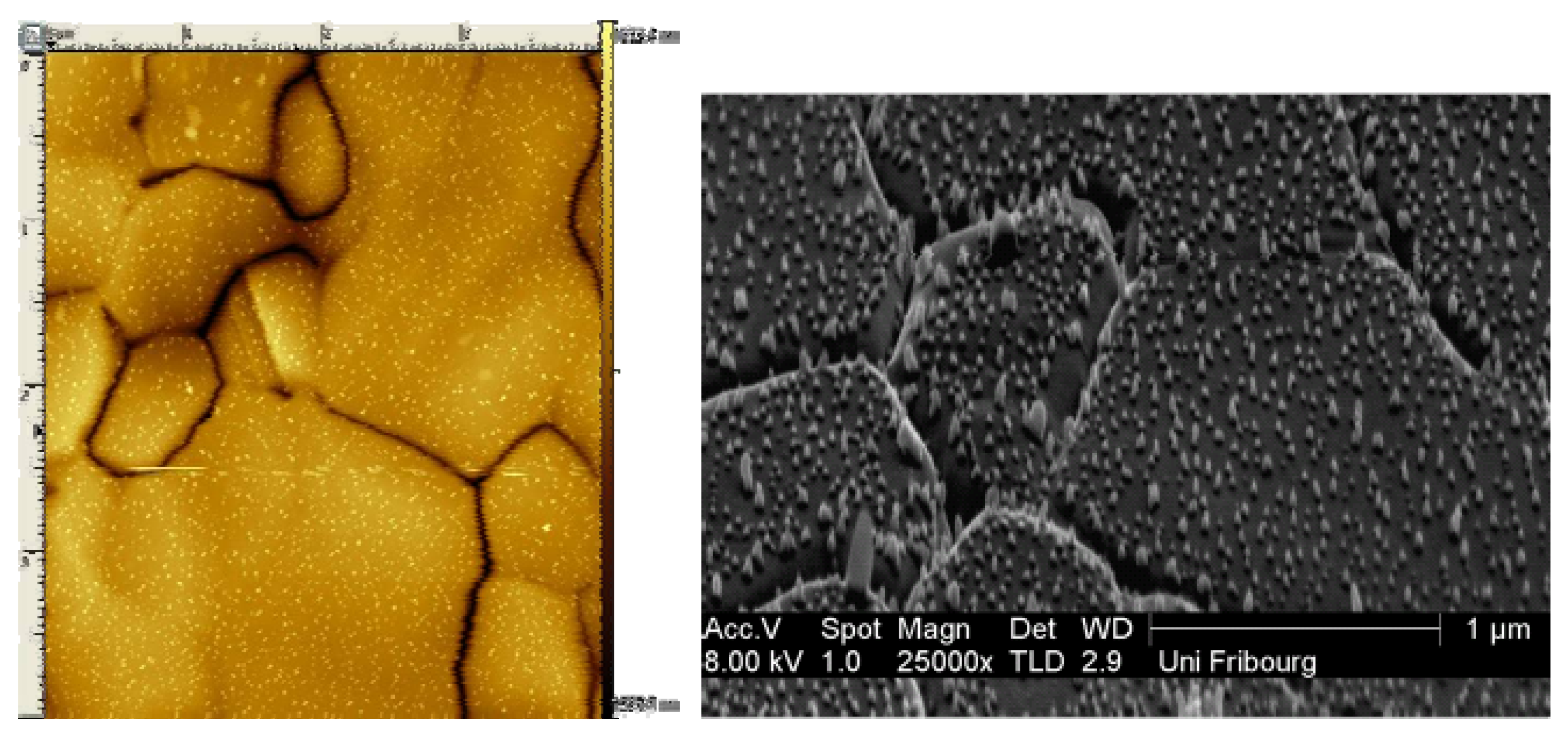 Materials 04 00355 g004