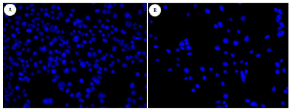 Materials 04 00355 g006 1024