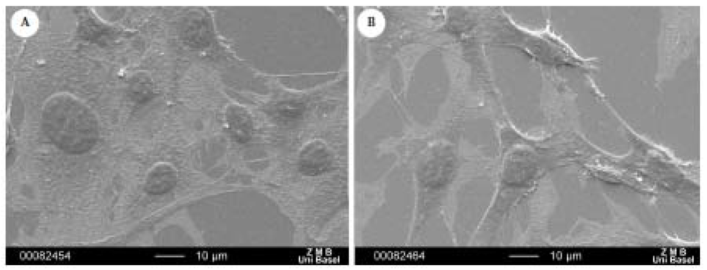 Materials 04 00355 g007 1024