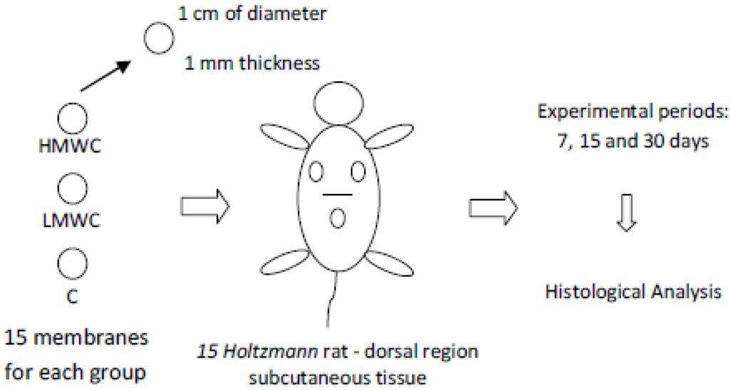 Materials 04 00380 g001 1024