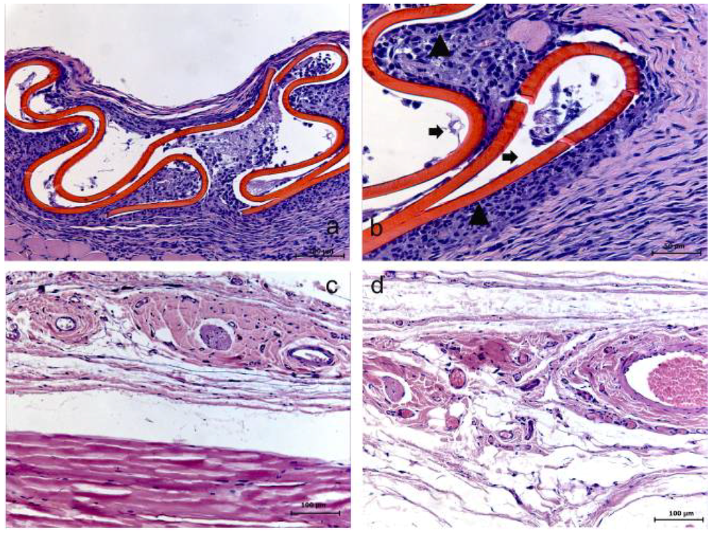 Materials 04 00380 g003 1024