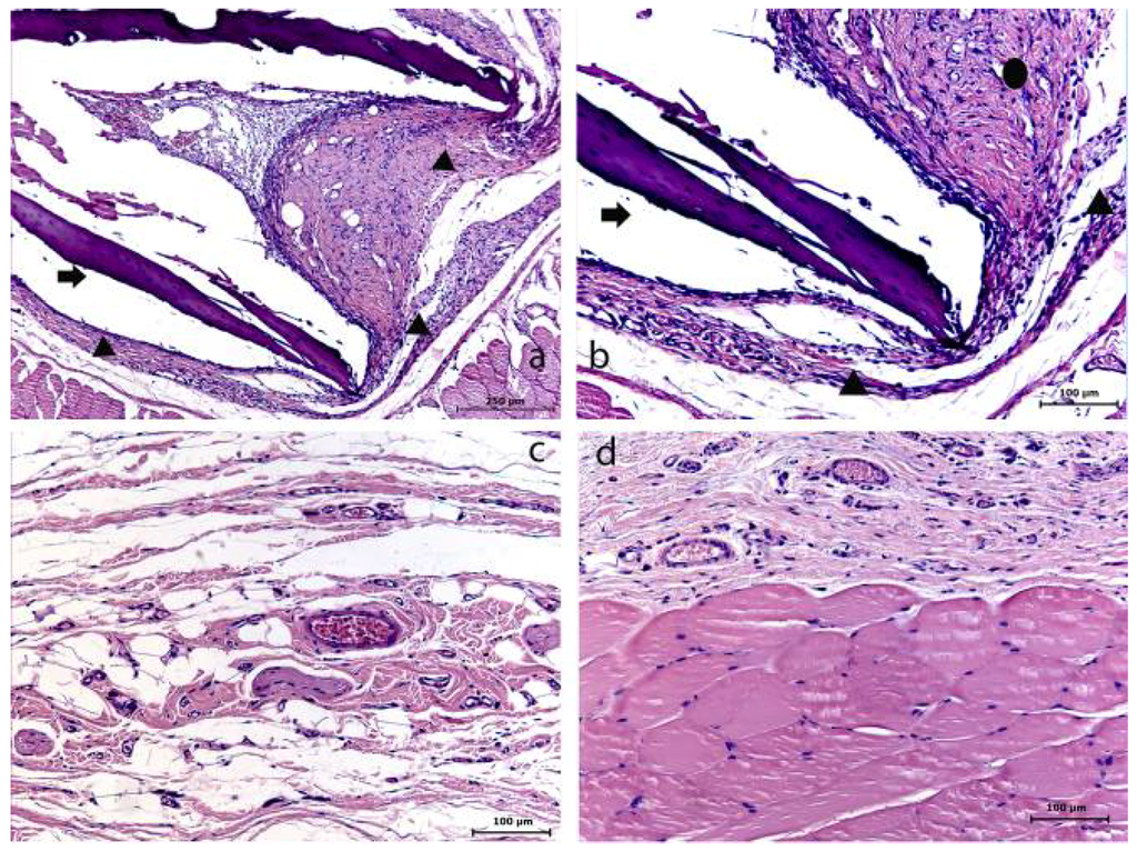 Materials 04 00380 g005 1024