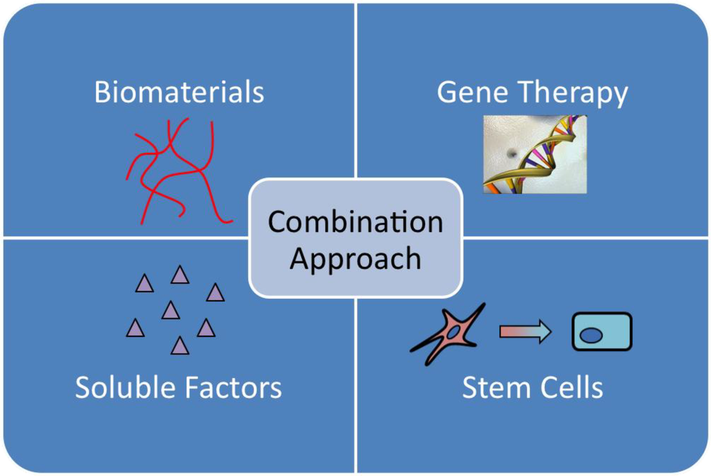 Materials 04 01117 g001 1024