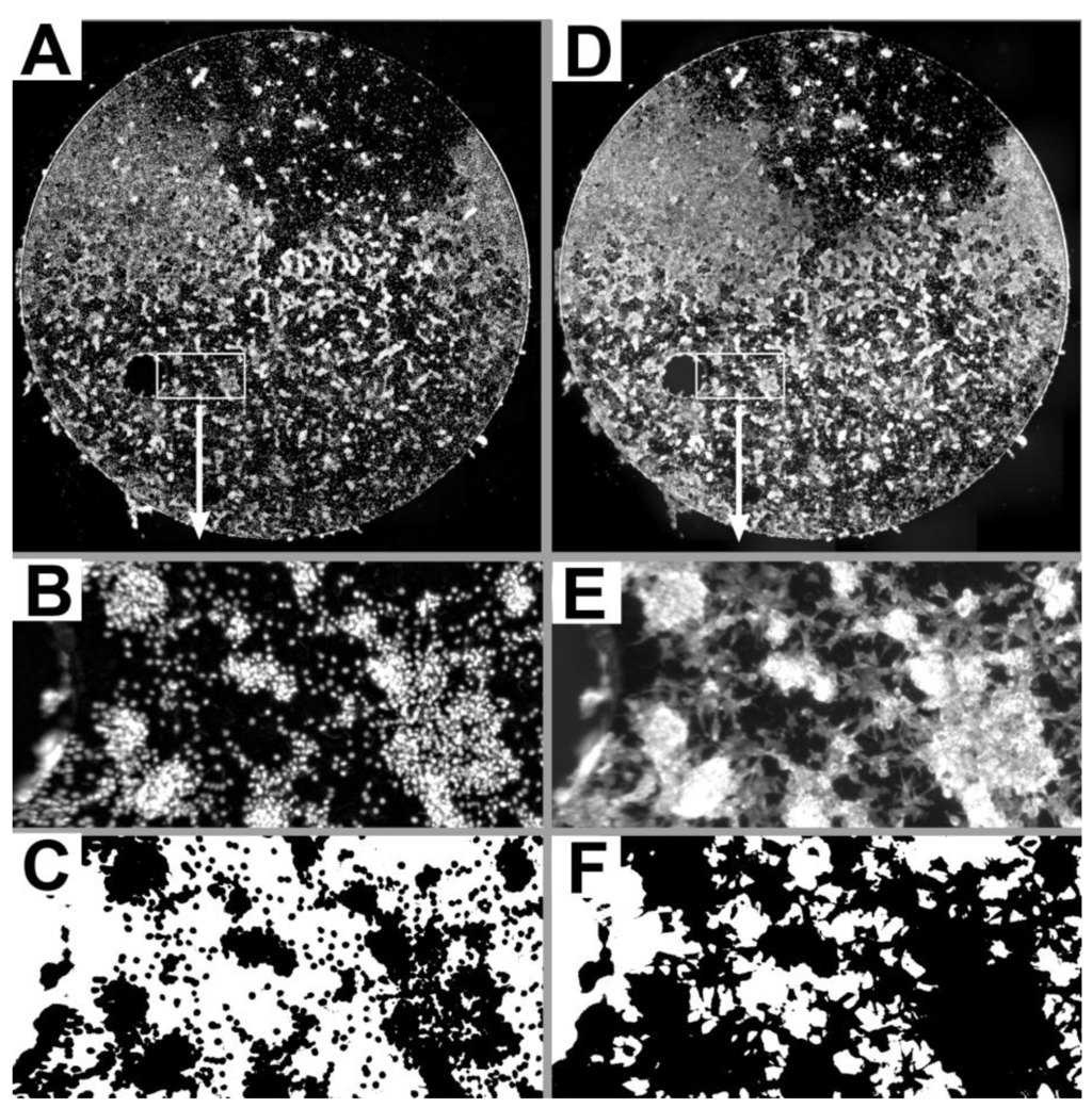 Materials 04 01238 g001 1024