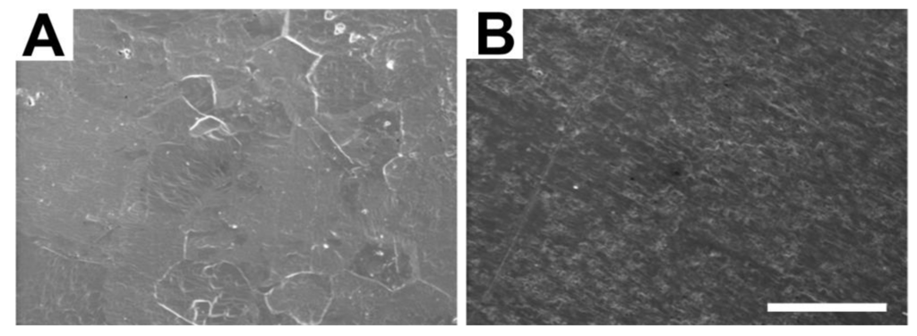 Materials 04 01238 g003 1024