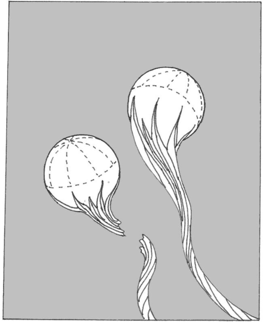 Materials 04 01271 g002 1024