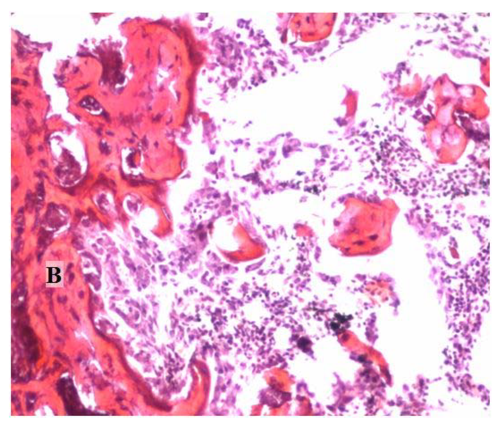 Materials 04 01321 g001 1024