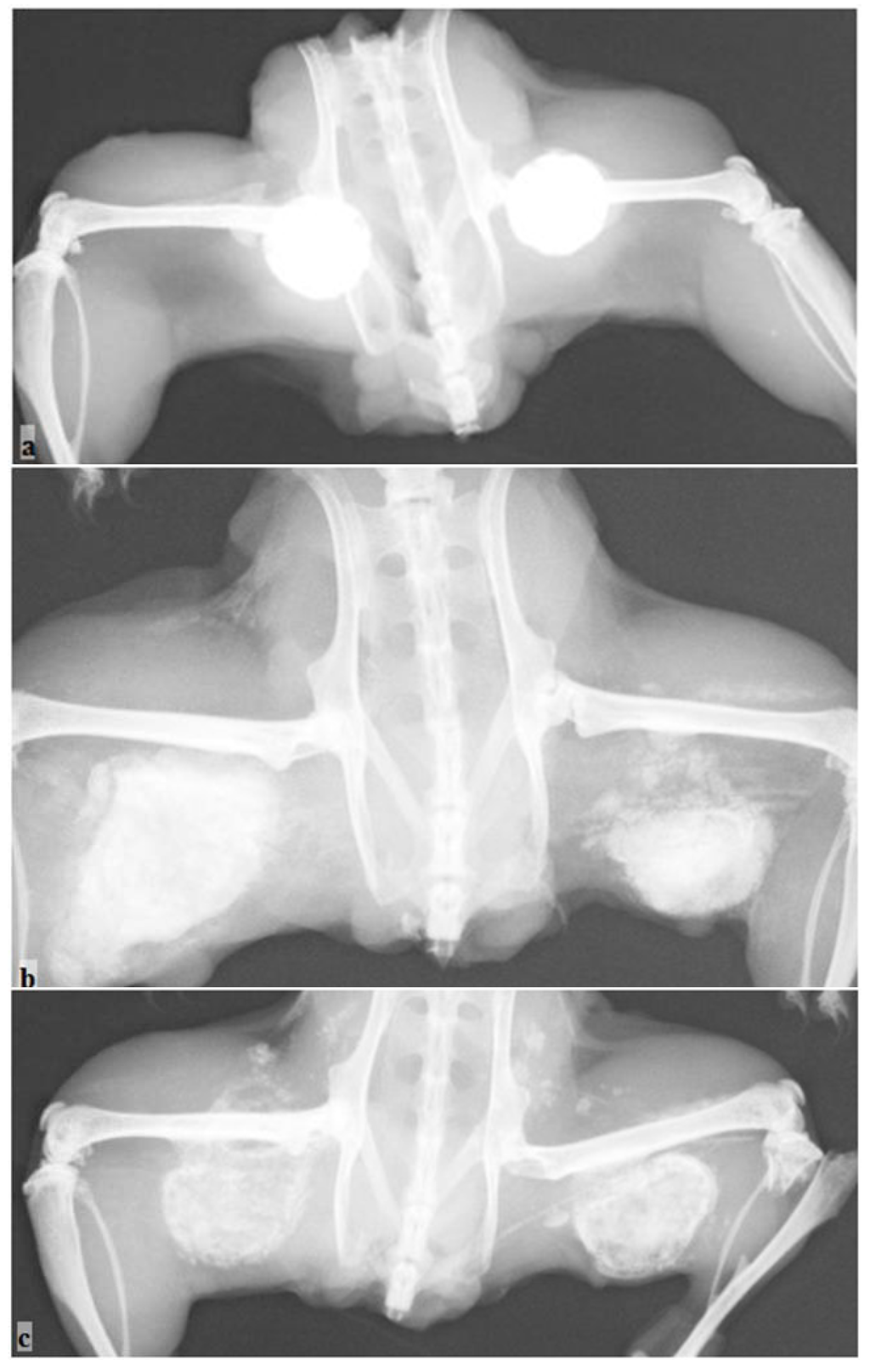 Materials 04 01321 g003 1024