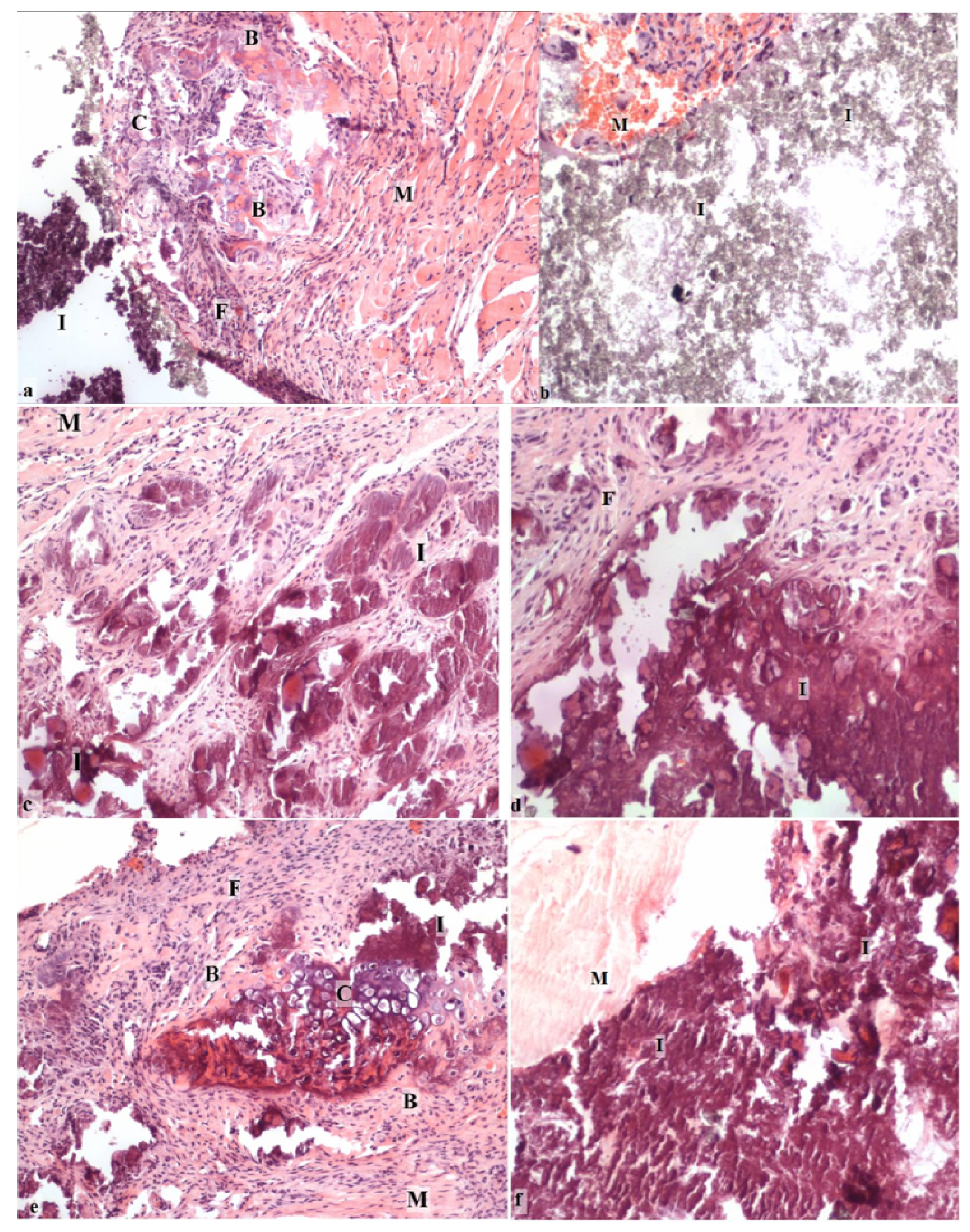 Materials 04 01321 g004