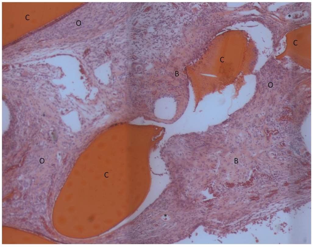 Materials 04 01360 g003 1024