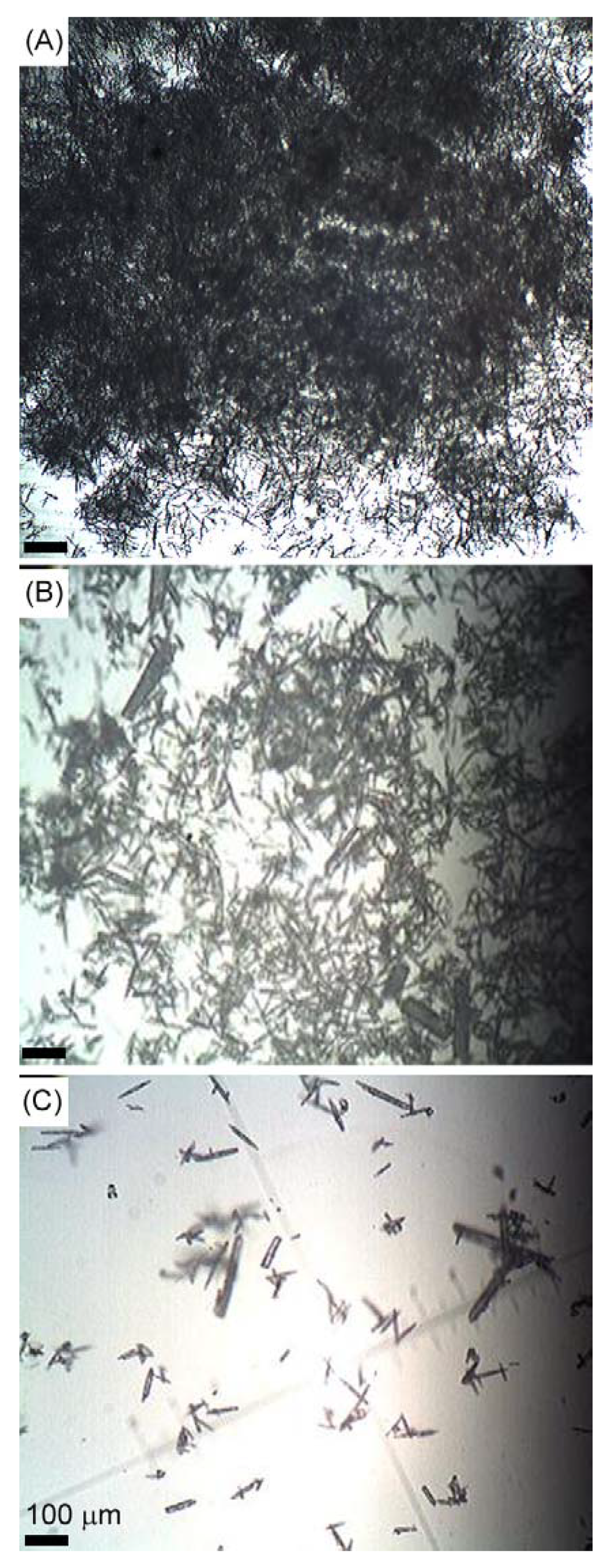 Materials 04 01375 g003 1024