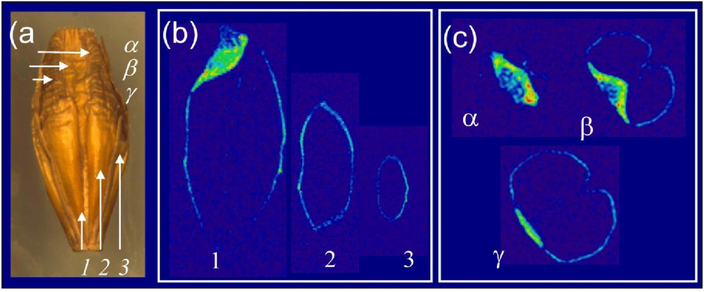 Materials 04 01426 g002 1024