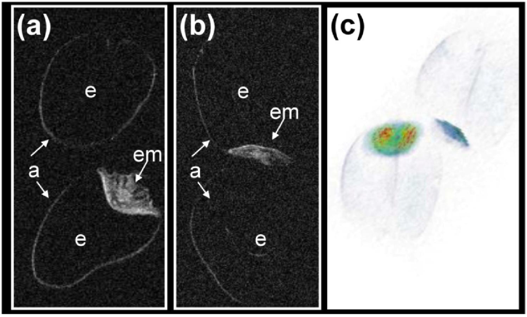 Materials 04 01426 g003 1024